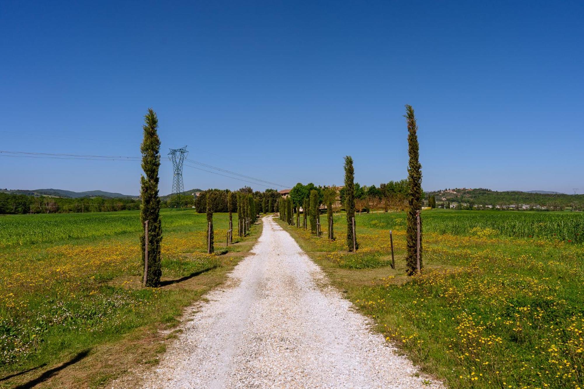 Villa Le Beringhe - Wine Pool & Relax Colle Val D'Elsa Εξωτερικό φωτογραφία